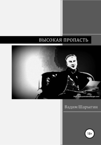 Высокая пропасть. Вадим Юрьевич Шарыгин