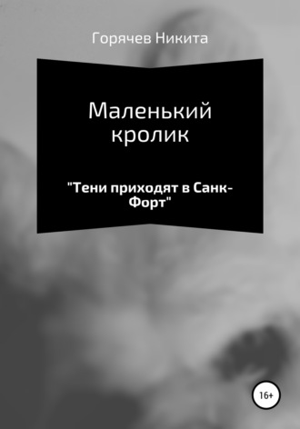 Маленький кролик. Никита Денисович Горячев