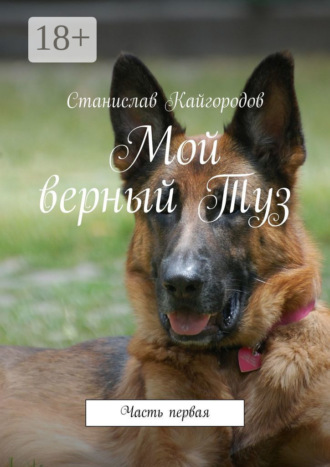 Мой верный Туз. Часть первая. Станислав Кайгородов
