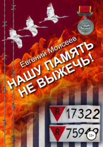 Нашу память не выжечь!. Евгений Васильевич Моисеев