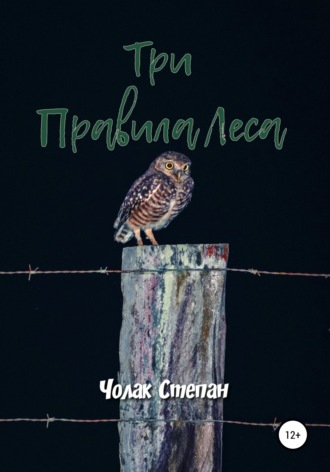 Степан Дмитриевич Чолак. Три правила леса