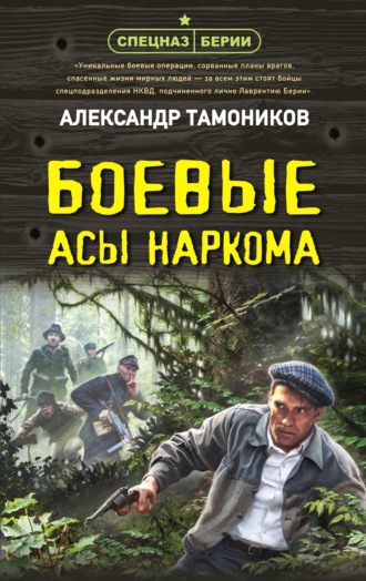 Боевые асы наркома. 