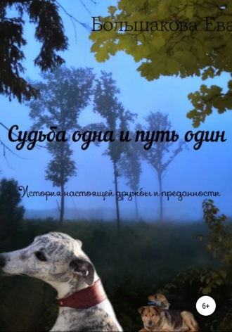 Судьба одна и путь один. История настоящей дружбы и преданности. Ева Ильинична Большакова
