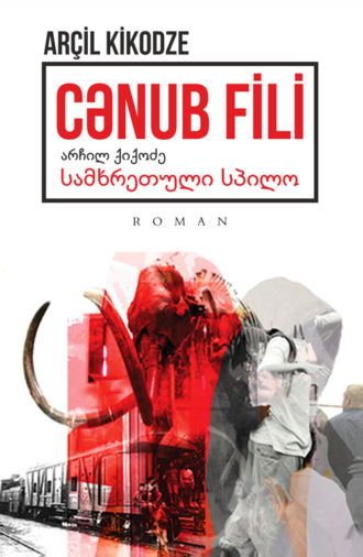 CƏNUB FİLİ. Arçil Kikodze