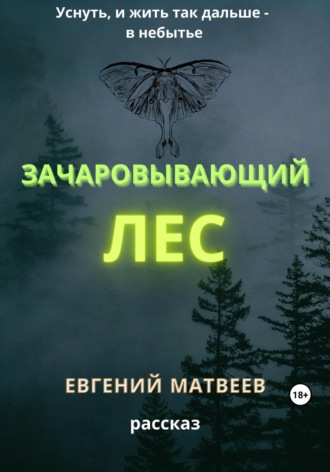 Евгений Матвеев. Зачаровывающий лес