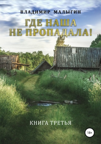 Владимир Владиславович Малыгин. Где наша не пропадала – 3