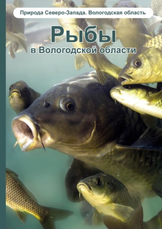 М. Я. Борисов. Рыбы в Вологодской области