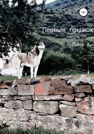 Лина А.. Первый прыжок