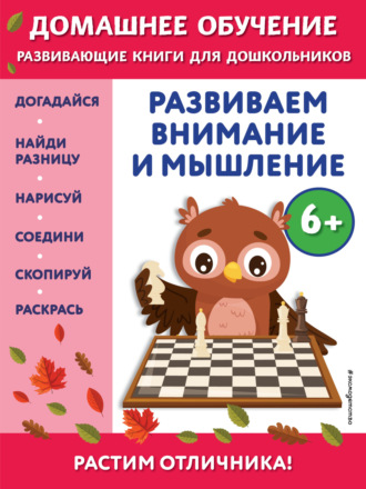 Развиваем внимание и мышление. Для детей от 6 лет. Беркай Динч
