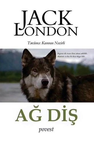 Ağ diş. 