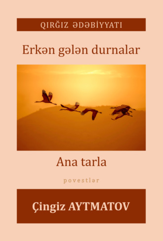 Чингиз Айтматов. Erkən gələn durnalar, Ana tarla