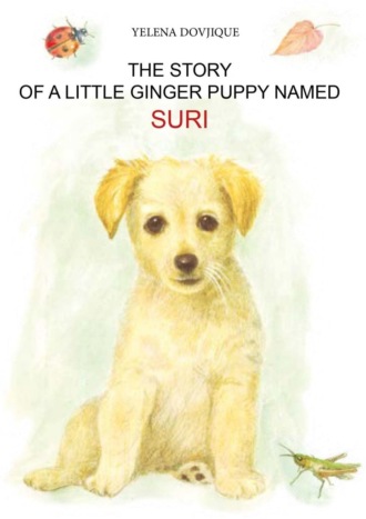 Yelena Dovjique. The story of a little ginger puppy girl named Suri