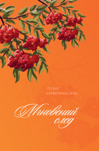 Мгновений след. 