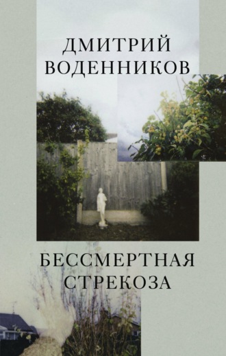 Бессмертная стрекоза. Дмитрий Воденников
