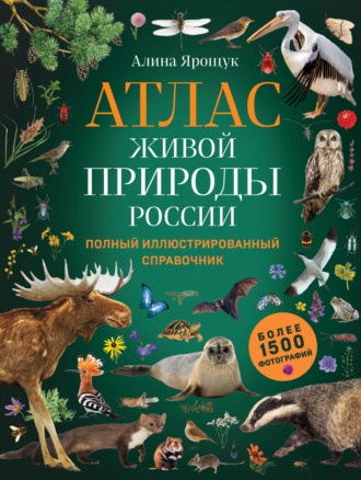 Алина Ярощук. Атлас живой природы России. Полный иллюстрированный справочник