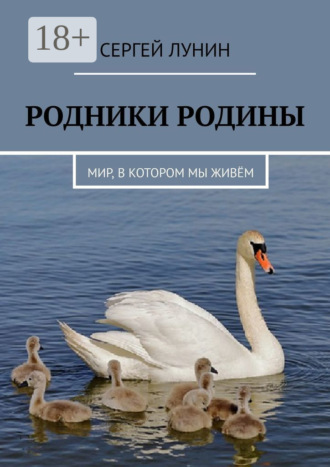 Сергей Лунин. Родники Родины. Мир, в котором мы живём