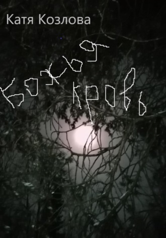 Катя Козлова. Божья кровь