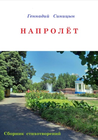 Геннадий Константинович Синицын. Напролёт