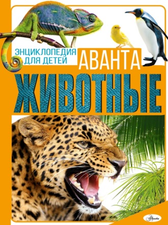 Животные. 