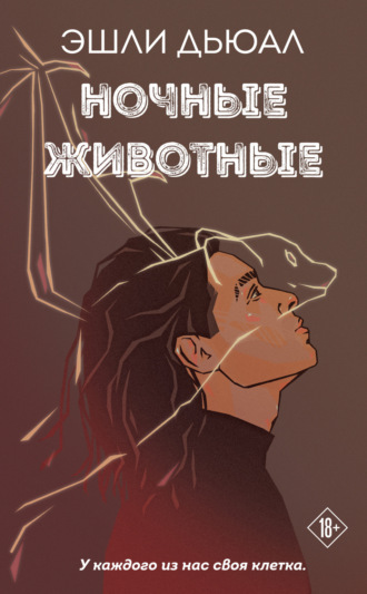 Ночные животные. 