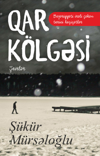 Qar kölgəsi. Mürsəloğlu Şükür