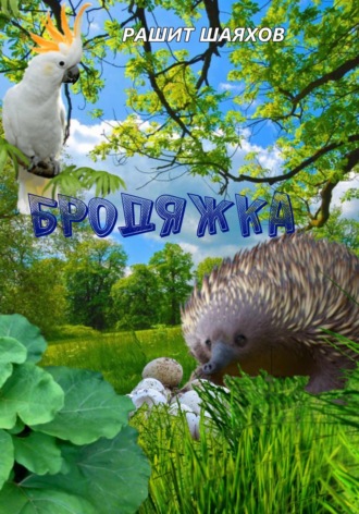 Рашит Шаяхов. Бродяжка