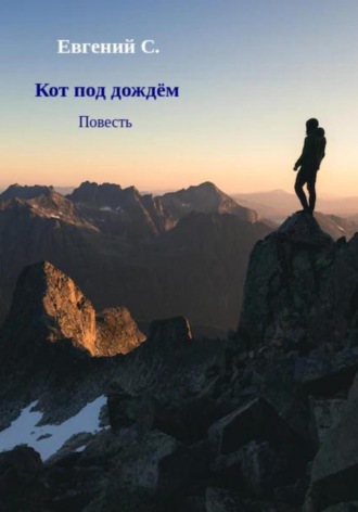 Кот под дождём. 