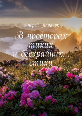 В просторах тихих и бескрайних… стихи. Андрей Парачук