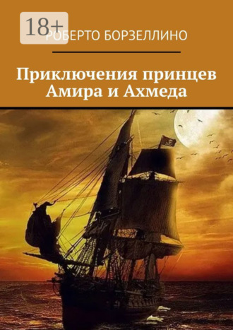 Приключения принцев Амира и Ахмеда. 