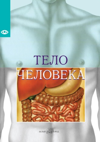 Эдуард Арнау. Тело человека