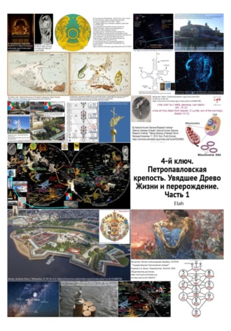 4-й ключ. Петропавловская крепость. Увядшее Древо Жизни и перерождение. Часть 1. 