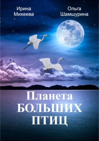 Ольга Шамшурина. Планета Больших Птиц