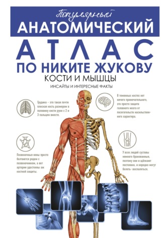 Никита Жуков. Популярный анатомический атлас по Никите Жукову. Кости и мышцы. Инсайды и интересные факты