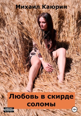 Михаил Александрович Каюрин. Любовь в скирде соломы