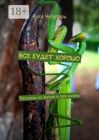 Все будет хорошо. Рассказы из жизни и про жизнь. Ната Чеботарь