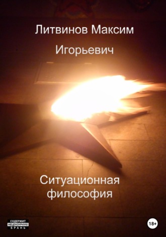 Ситуационная философия. Максим Игорьевич Литвинов