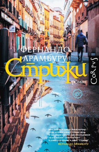 Фернандо Арамбуру. Стрижи