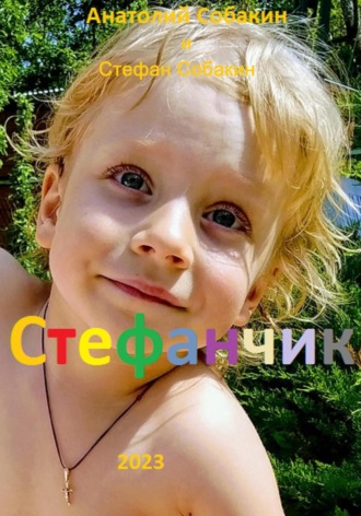 Анатолий Коммунарович Собакин. Стефанчик