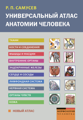 Универсальный атлас анатомии человека. 