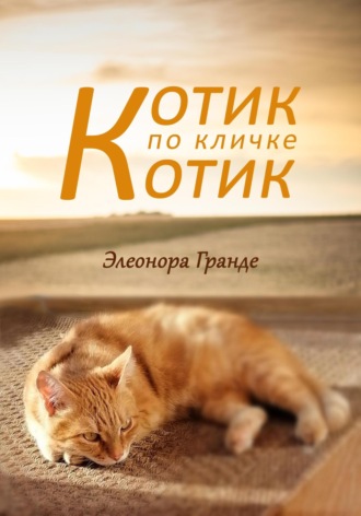 Элеонора Гранде. Котик по кличке Котик
