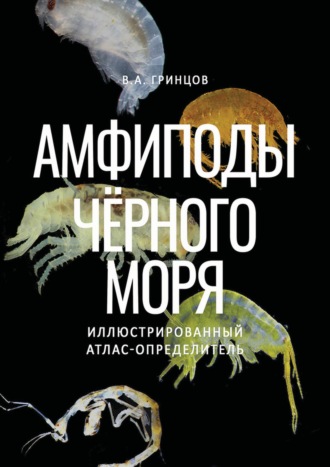 В. А. Гринцов. Амфиподы Чёрного моря. Иллюстрированный атлас-определитель
