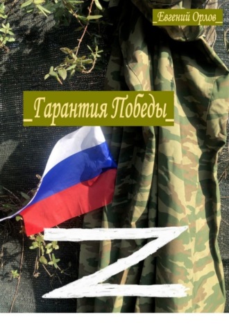Гарантия Победы. Что следует использовать в нашей стране. Евгений Орлов