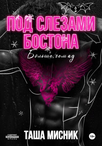 Таша Мисник. Под слезами Бостона. Больше, чем ад