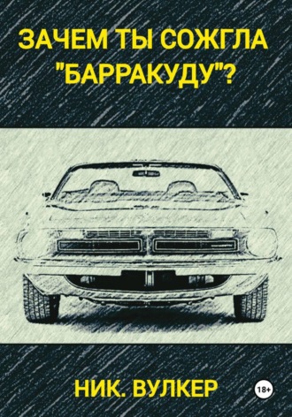 Зачем ты сожгла 