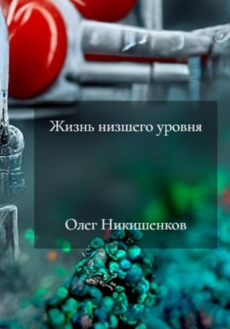 Олег Никишенков. Жизнь низшего уровня