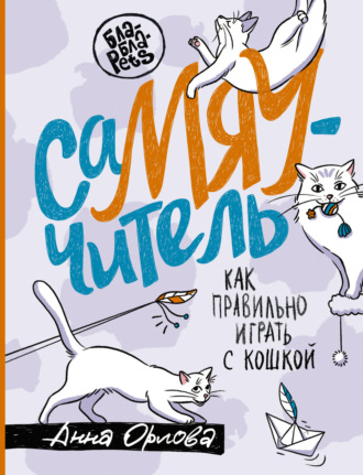 СаМЯУчитель. Как правильно играть с кошкой. Анна Орлова