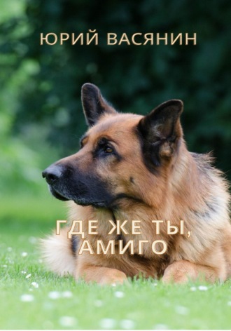 Где же ты, Амиго. 