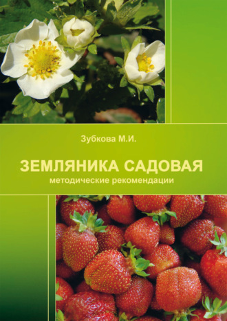 Земляника садовая (методические рекомендации). М. И. Зубкова