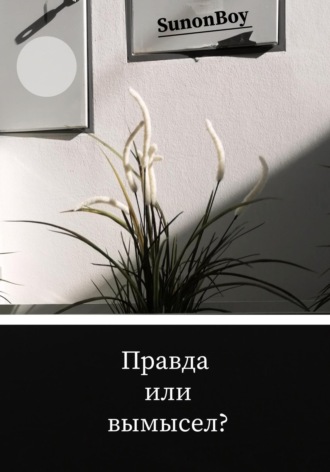 Sunon Boy. Правда или вымысел?