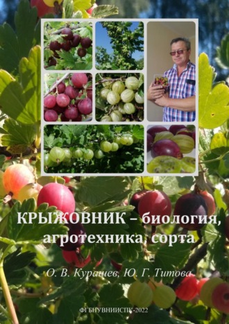 О. В. Курашев. Крыжовник – биология, агротехника, сорта